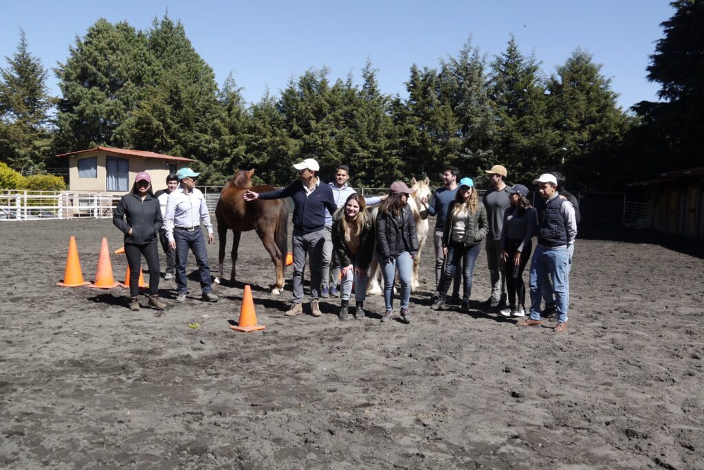 Un grupo de líderes trabaja con caballos en la pista durante una sesión de coaching