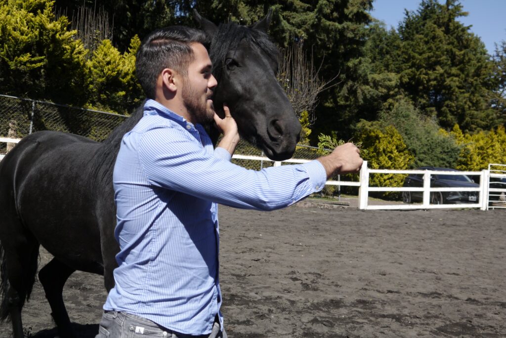 Un participante en contacto cercano con un caballo durante una sesión de coaching